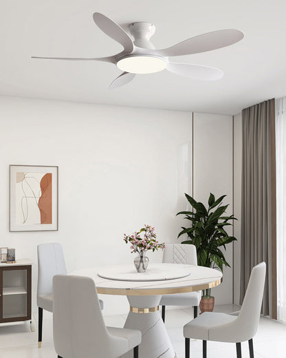 WOMO Large Low Profile Ceiling Fan Lamp - WM5195