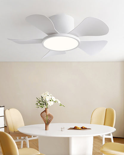 WOMO 30 Inch Ceiling Fan Lamp - WM5197