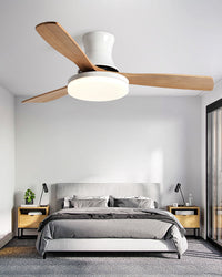 WOMO Modern Low Profile Deckenventilator Lampe - WM5198