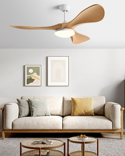 WOMO 3 Blade Modern Ceiling Fan Lamp - WM5200
