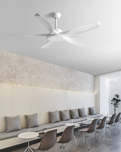 WOMO Modern Ceiling Fan - WM5203