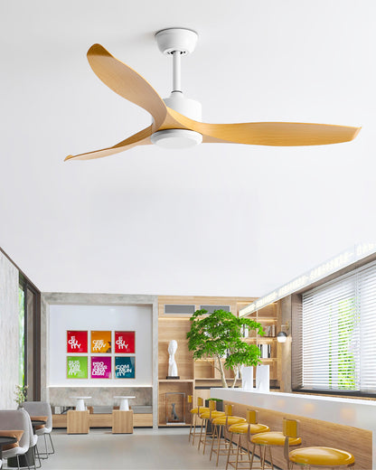 WOMO Modern Ceiling Fan - WM5203