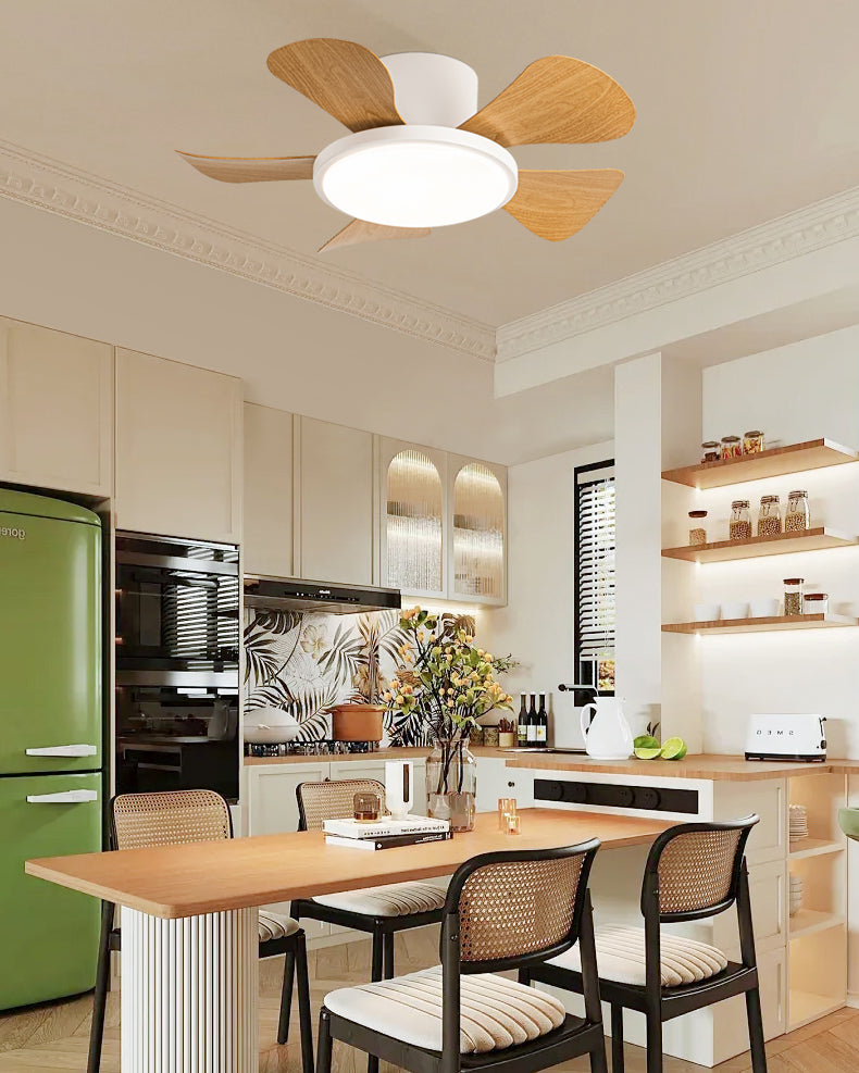 WOMO 30 Inch Low Profile Ceiling Fan Lamp-WM5205