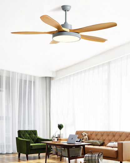 WOMO 5 Blade Ceiling Fan Lamp - WM5245b