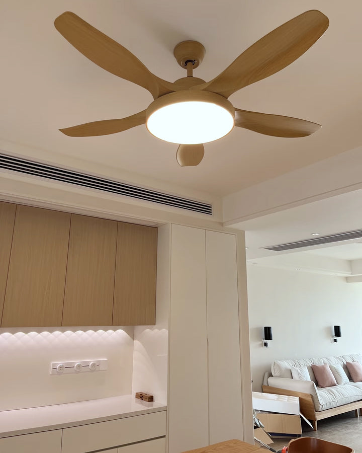 WOMO 5 Blade Ceiling Fan Lamp - WM5245b