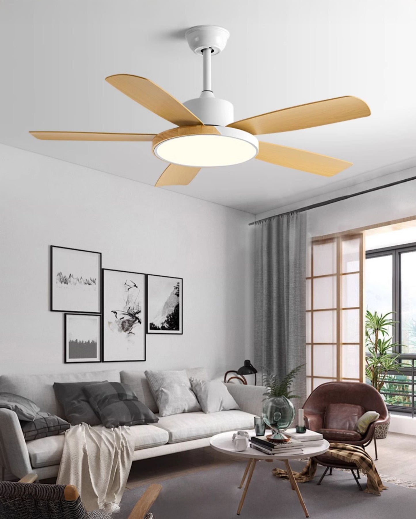 WOMO 5 Blade Modern Ceiling Fan Lamp - WM5250