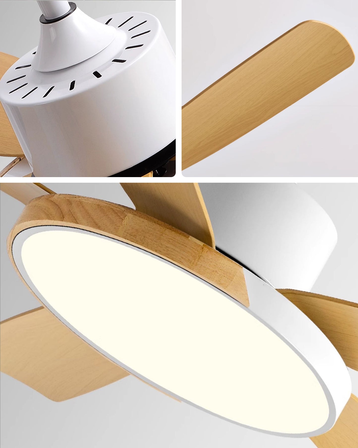 WOMO 5 Blade Modern Ceiling Fan Lamp - WM5250