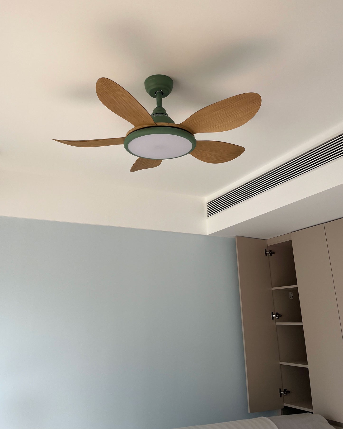 WOMO 5 Blade Modern Ceiling Fan Lamp - WM5252