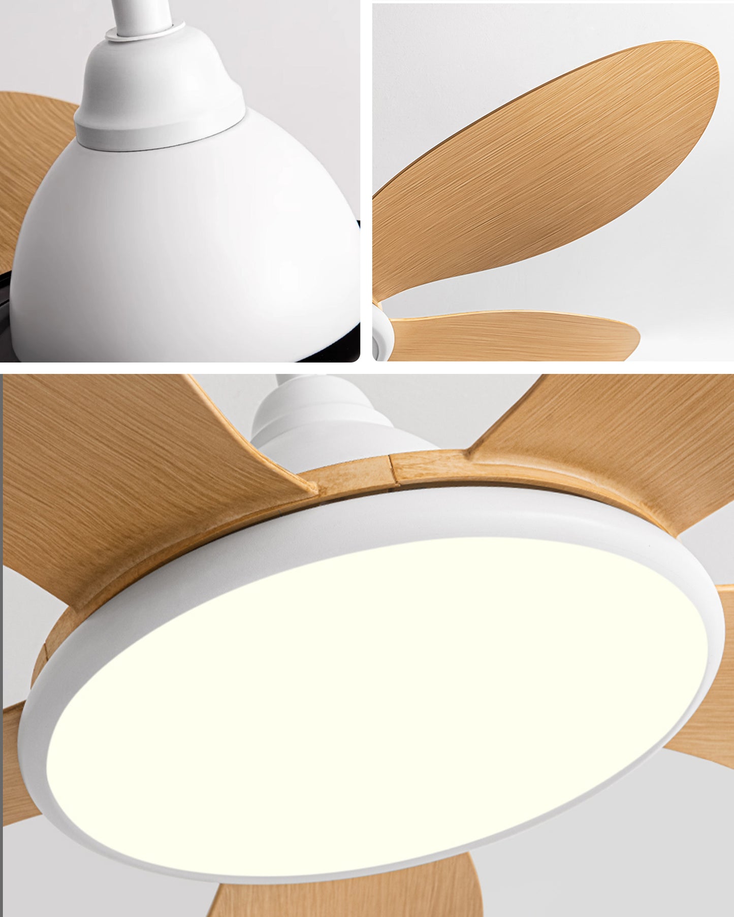 WOMO 5 Blade Modern Ceiling Fan Lamp - WM5252