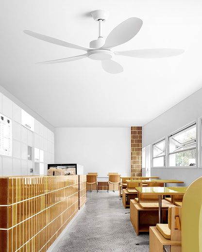WOMO Modern Ceiling Fan - WM5260