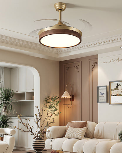 WOMO Retractable Blade Ceiling Fan Lamp - WM5265