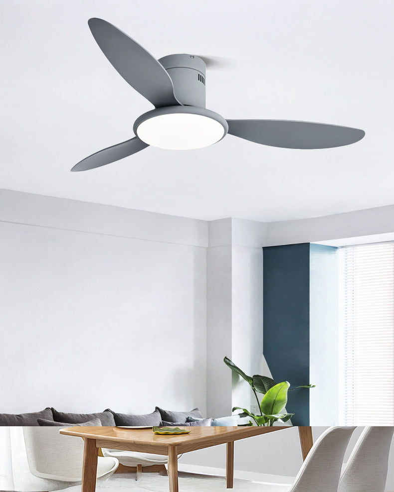 WOMO Modern Ceiling Fan Lamp - WM5267
