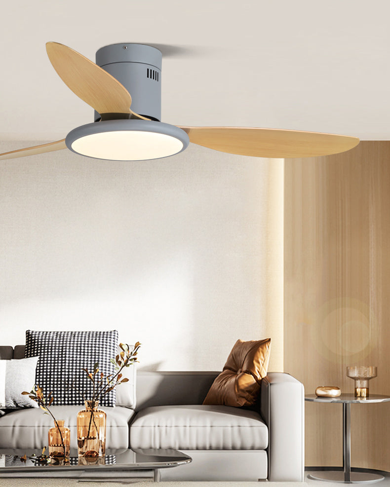 WOMO Modern Ceiling Fan Lamp - WM5267