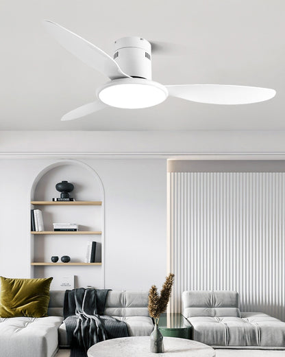 WOMO Modern Ceiling Fan Lamp - WM5267