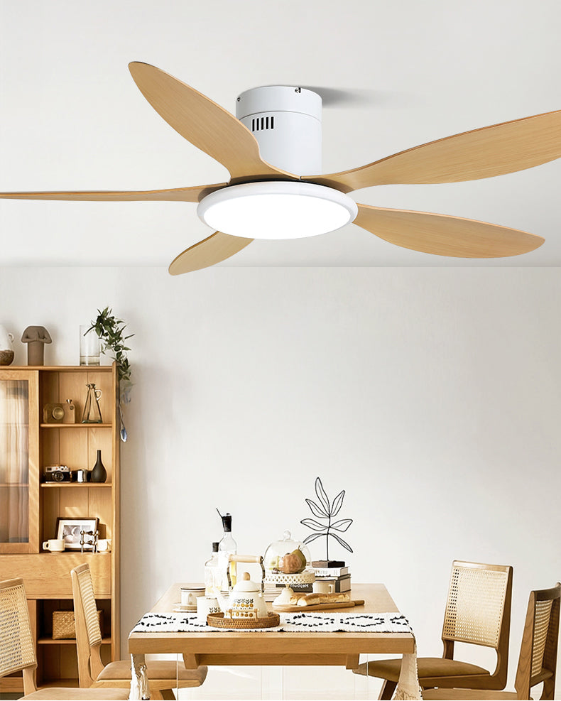 WOMO Modern Ceiling Fan Lamp - WM5267
