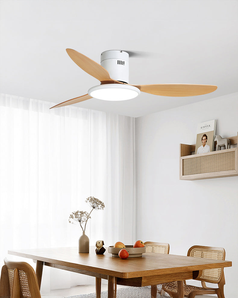 WOMO Modern Ceiling Fan Lamp - WM5267