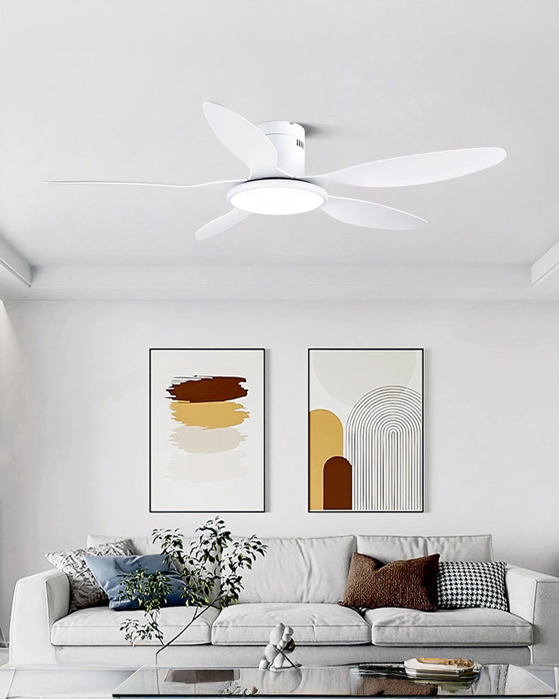WOMO Modern Ceiling Fan Lamp - WM5267