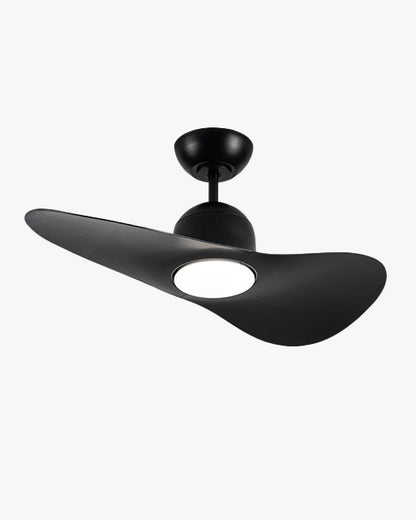 WOMO 2 Blade Unique Ceiling Fan Lamp - WM5270