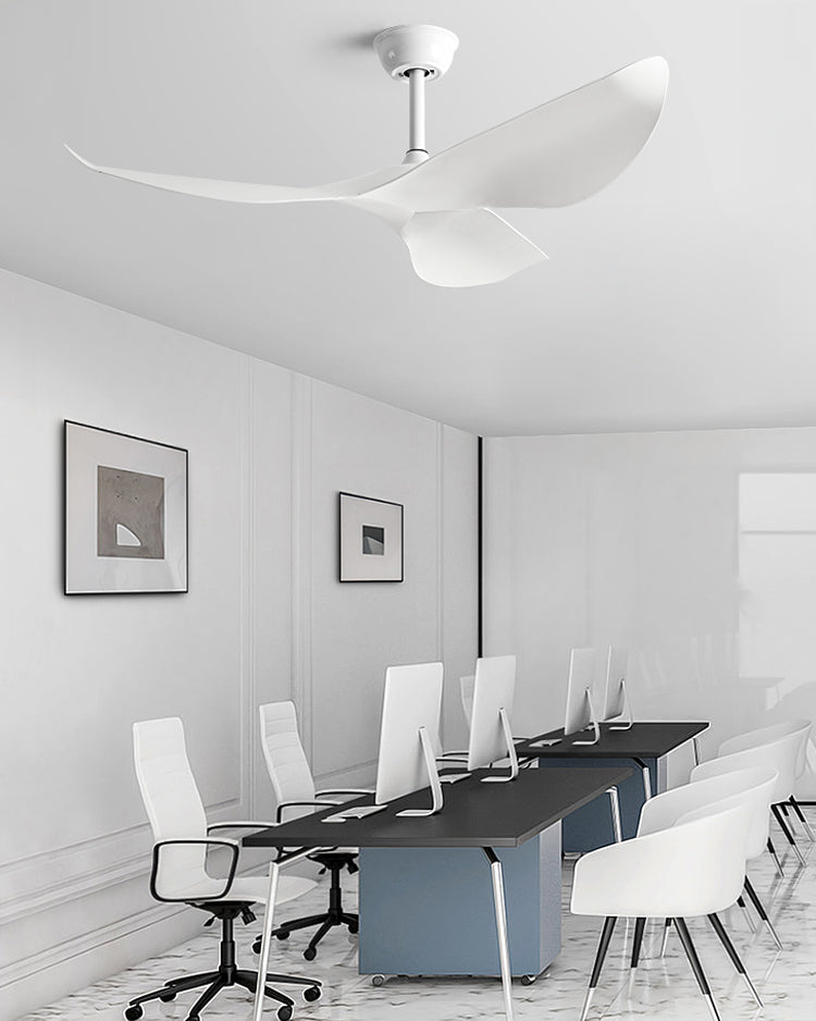 WOMO 3 Blade Ceiling Fan - WM5281