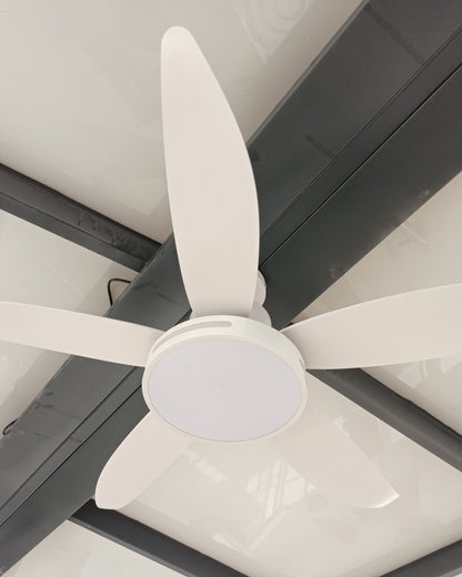 WOMO 5 Blade Contemporary Ceiling Fan Lamp-WM5000