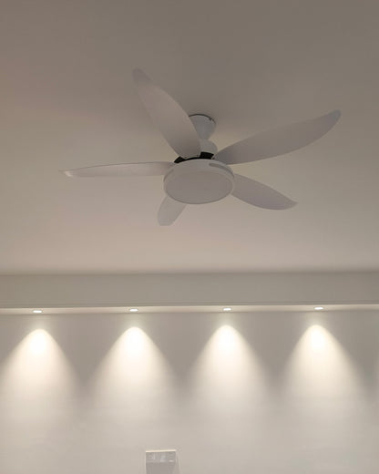 WOMO 5 Blade Contemporary Ceiling Fan Lamp-WM5000