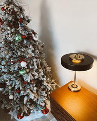 WOMO Mid-Century Round Table Lamp with Pull Chain - WM8009