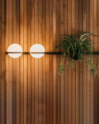 WOMO Globe Applique Murale pour Plantes - WM6035