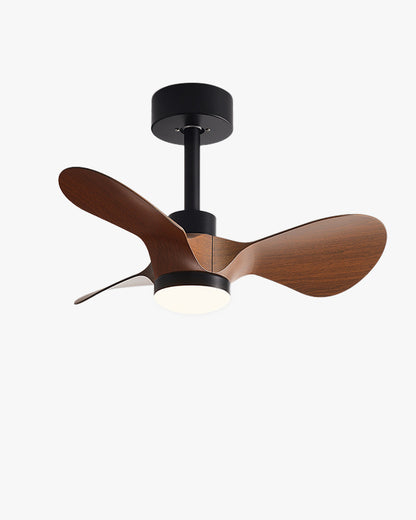 WOMO 24 inch Small Ceiling Fan Lamp- WM5172