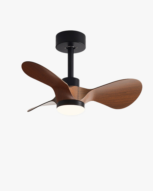 WOMO 24 inch Small Ceiling Fan Lamp- WM5172