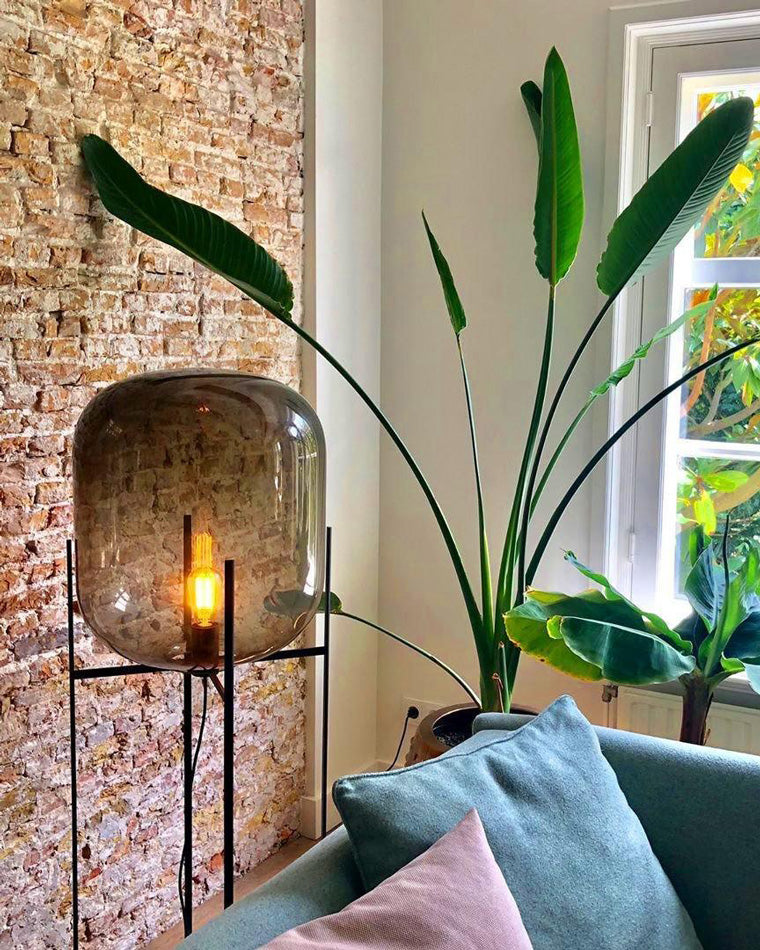 WOMO Floor Lamp with Smoked Glass Lantern-WM7015