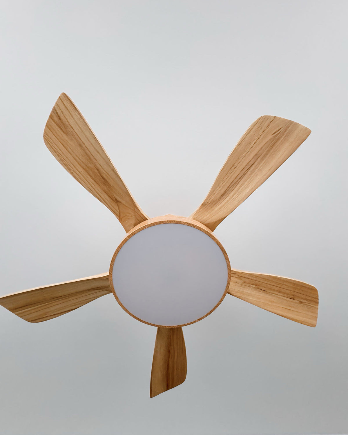 WOMO Scandi Ventilateur de plafond réversible avec lumière WM5002