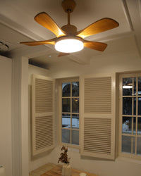 WOMO Scandi Ventilateur de plafond réversible avec lumière WM5002