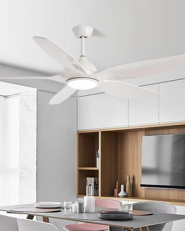 WOMO Flat, Modern Ceiling Fan Lamp-WM5062